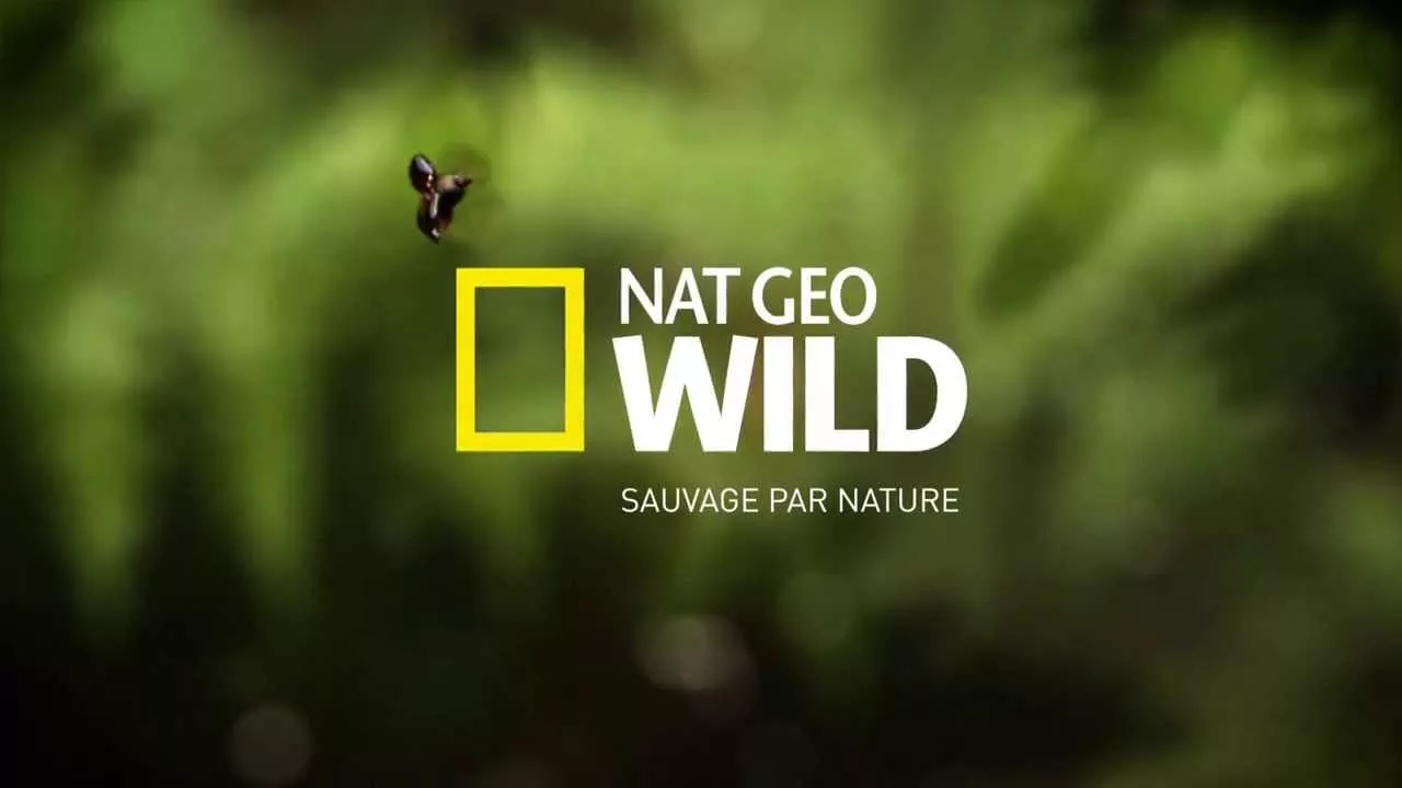 NatGeoWild